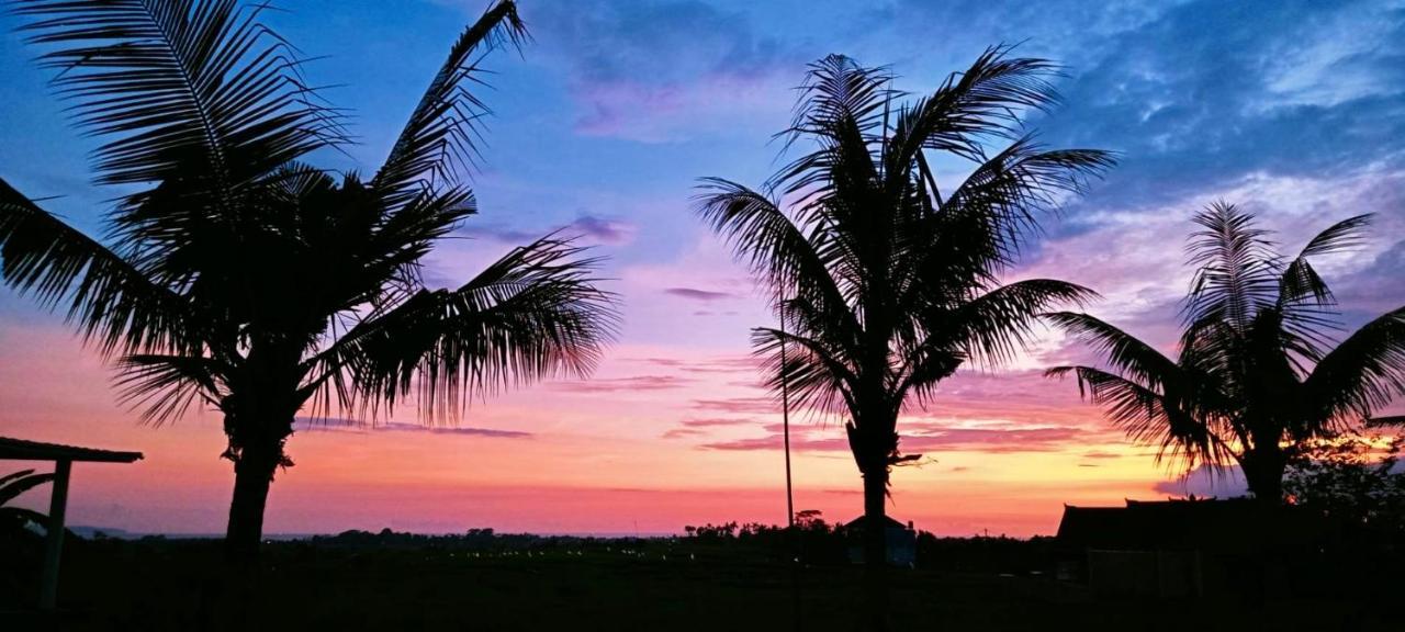 37 Sunset Village Bali Canggu Eksteriør bilde